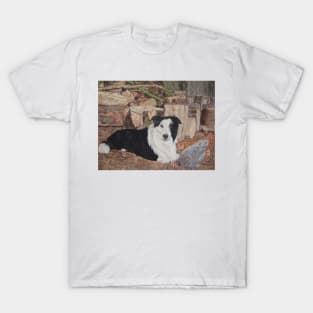 border collie in log shed with chickens dog portrait T-Shirt